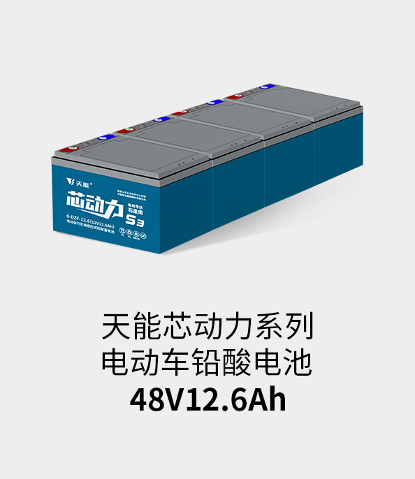 BBIN宝盈集团电池48v12ah