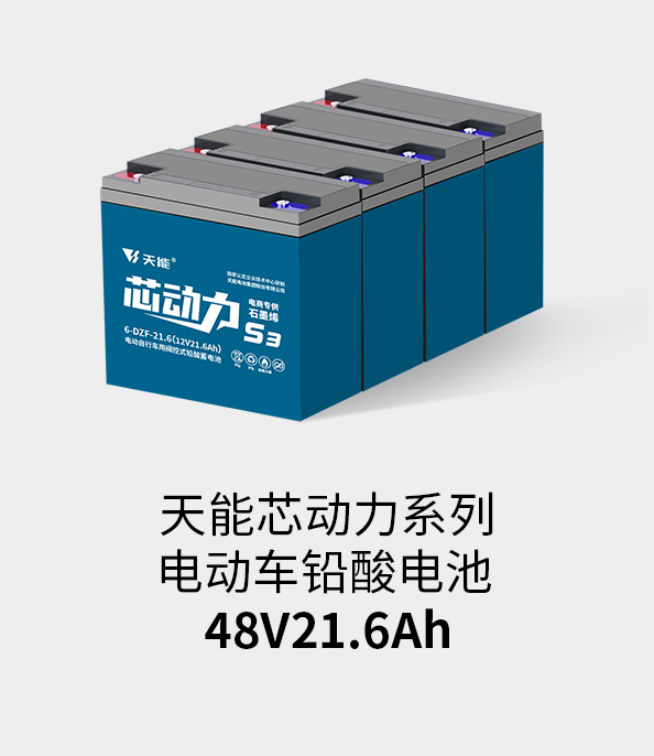 BBIN宝盈集团电池48v20ah