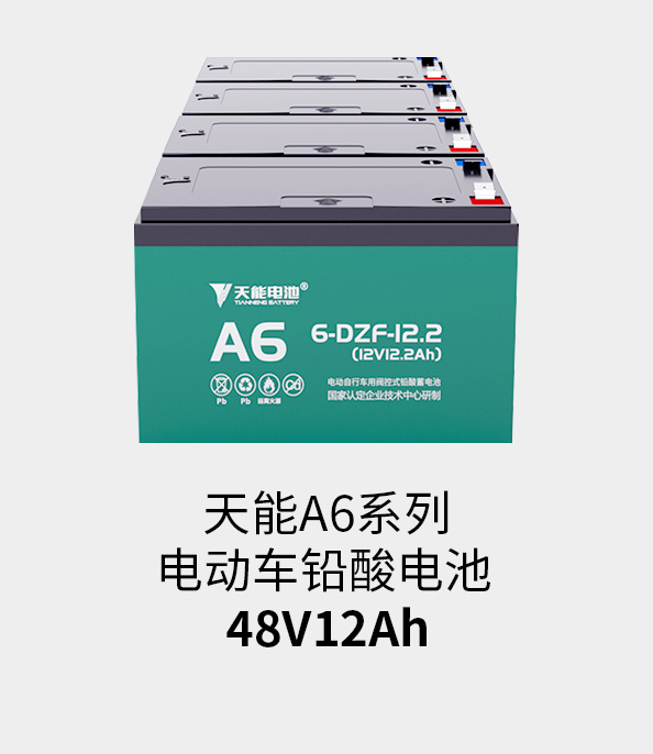 BBIN宝盈集团电池48v12ah