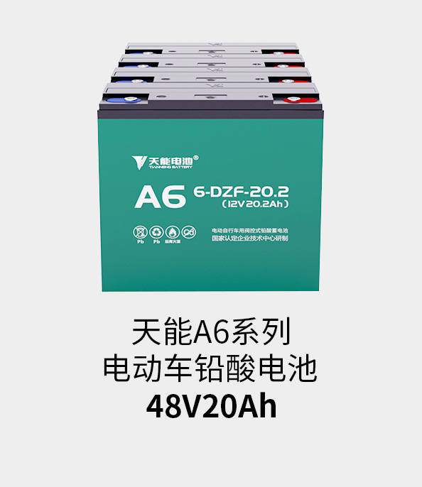 BBIN宝盈集团电池48v20ah
