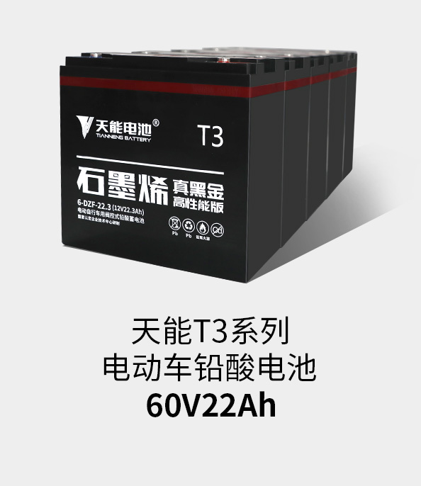 BBIN宝盈集团T3系列60v22ah