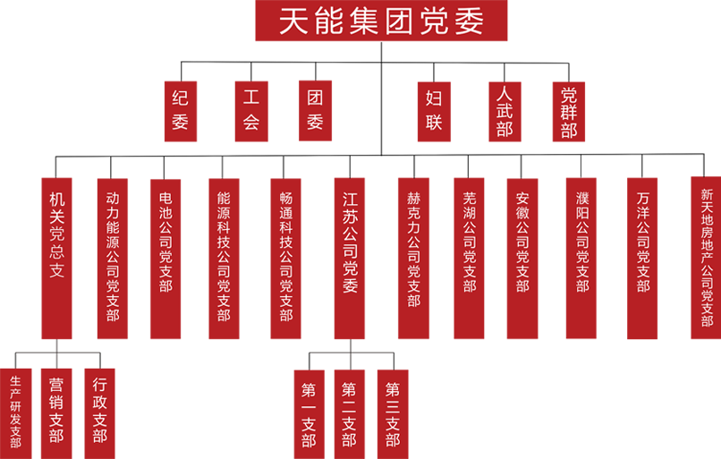 BBIN宝盈集团建团党委组织架构