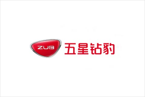 BBIN宝盈集团电池合作伙伴 五星钻豹电动车
